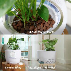 Verta All-in-1 Smart Air Purifier, Dehumidifier, & Self Watering Planter